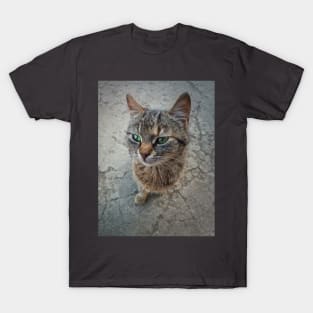 marvelous green eyes T-Shirt